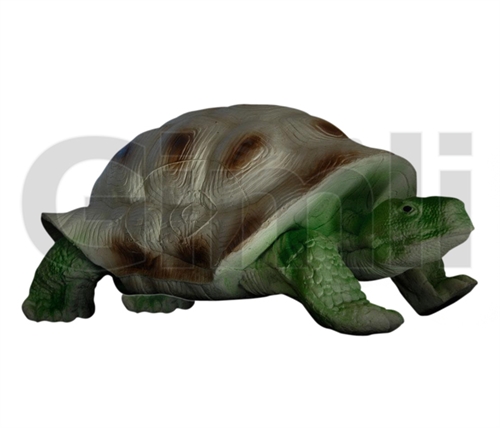 Eleven Target 3D Turtle